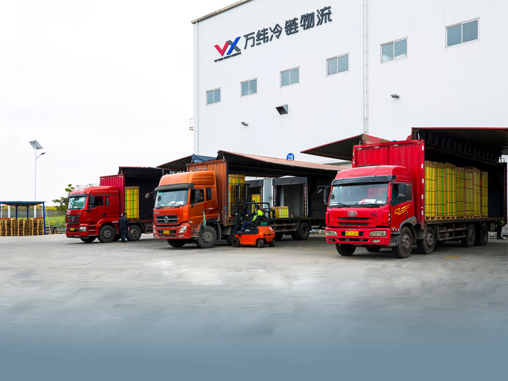 PermaStripe & Its Purpose in the Cold Chain