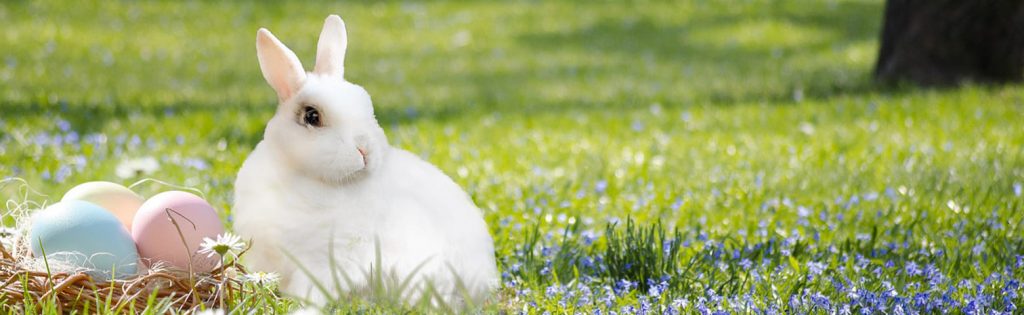 Easter-Blog-Image-1024x315